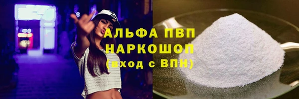 СК Арсеньев