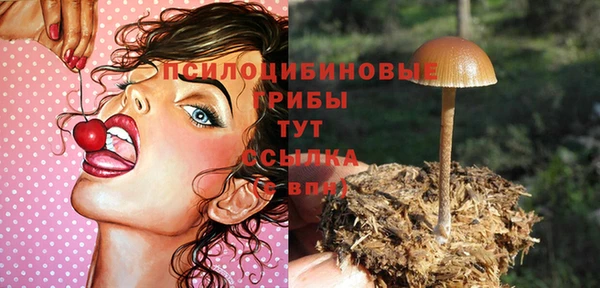 СК Арсеньев