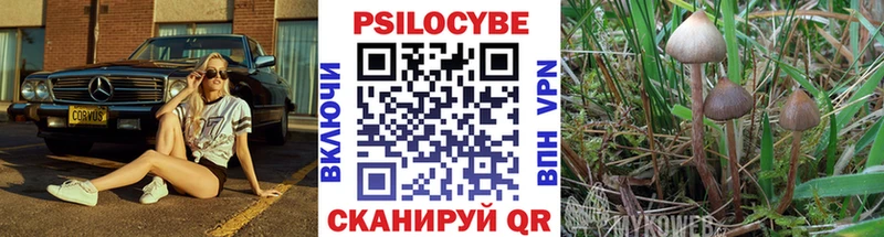 Галлюциногенные грибы Psilocybe  продажа наркотиков  Соликамск 